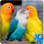 Logo of Birds Jigsaw Puzzle + LWP android Application 