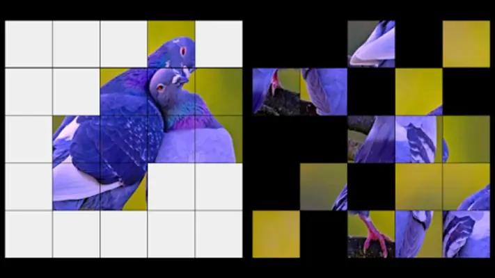 Birds Jigsaw Puzzle + LWP android App screenshot 4